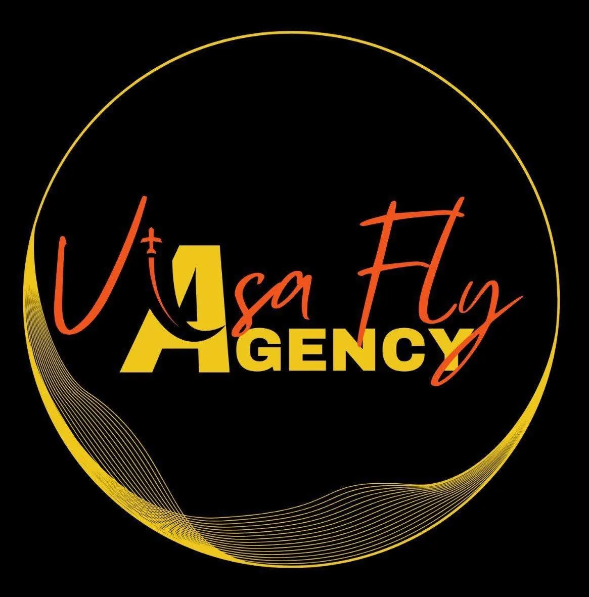 VisaFly