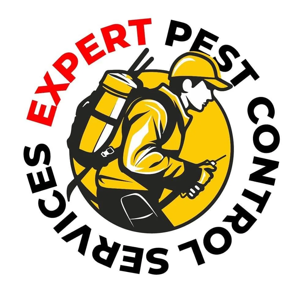 Expert Pest Control Services
